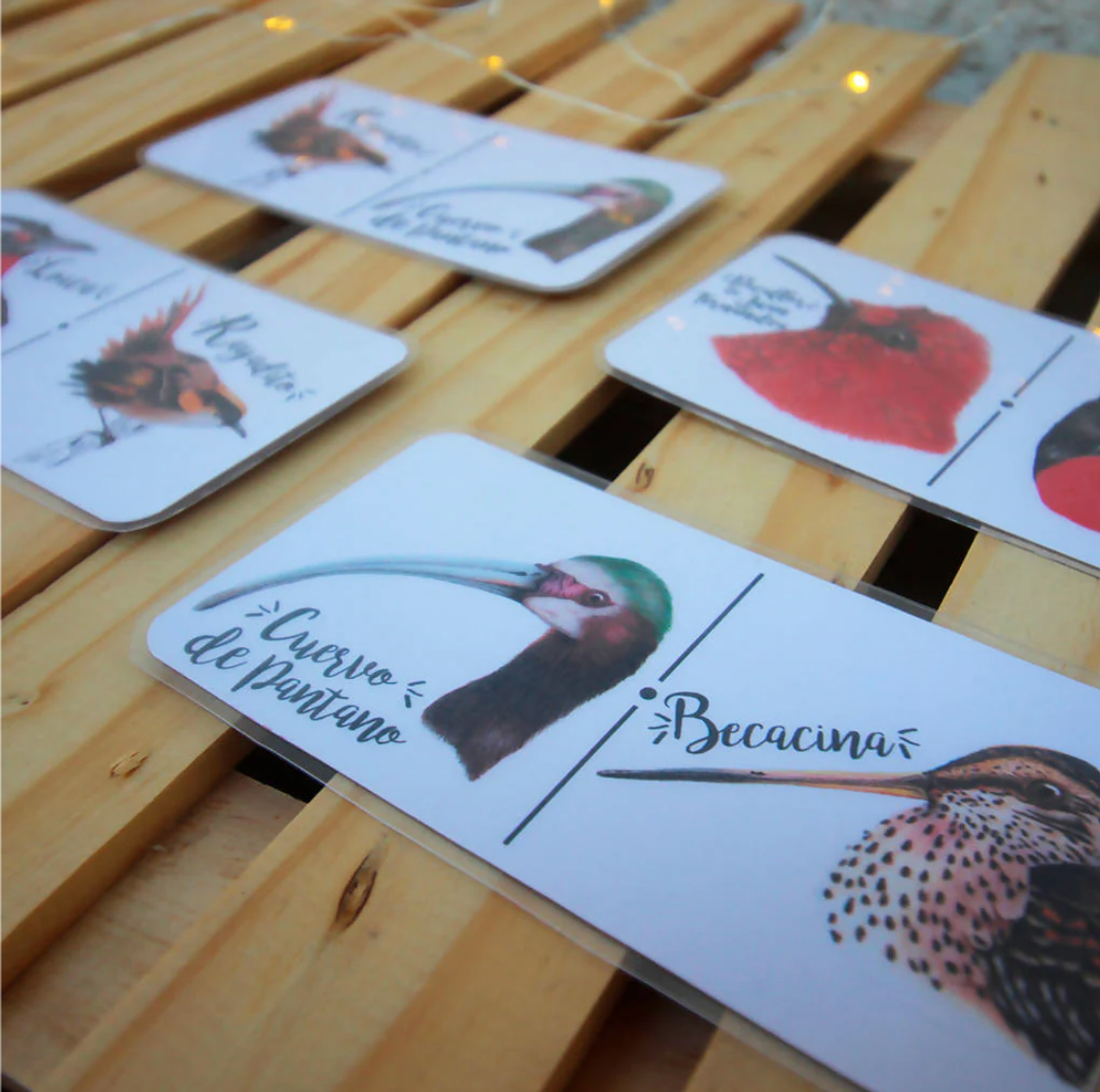 Juego Dominó: Aves de Chile 10