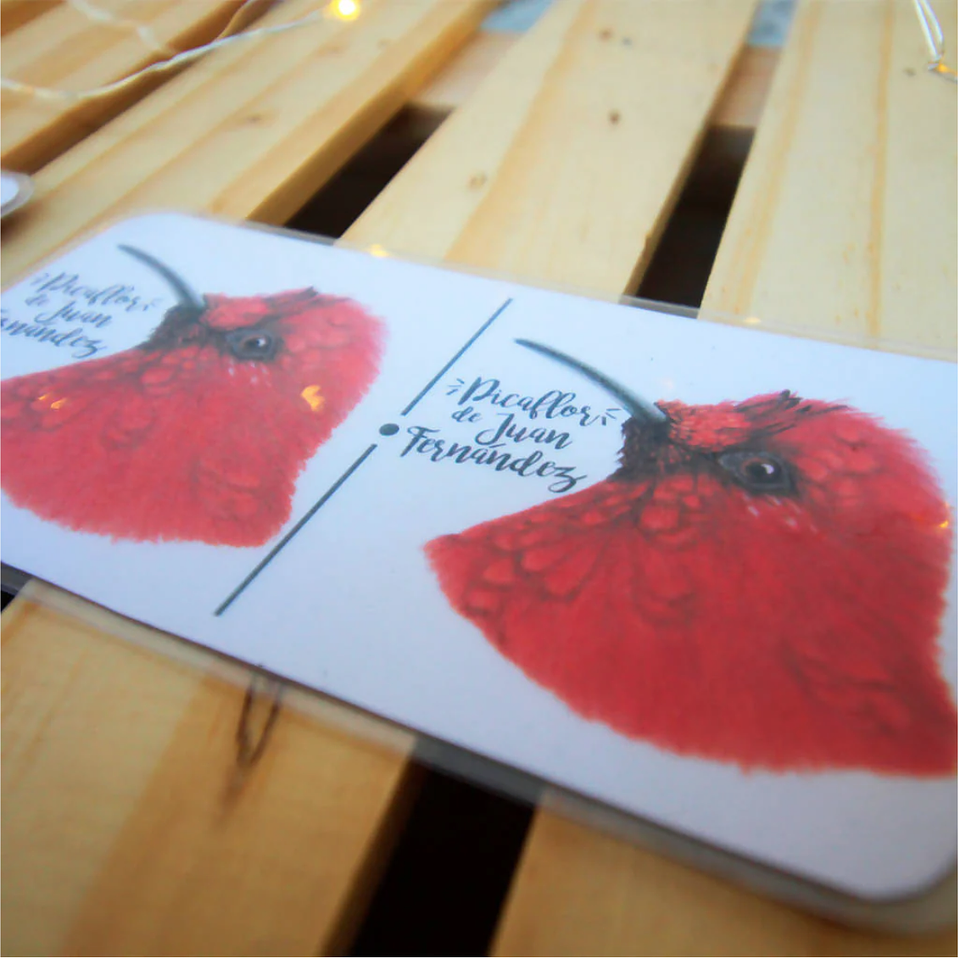 Juego Dominó: Aves de Chile 11