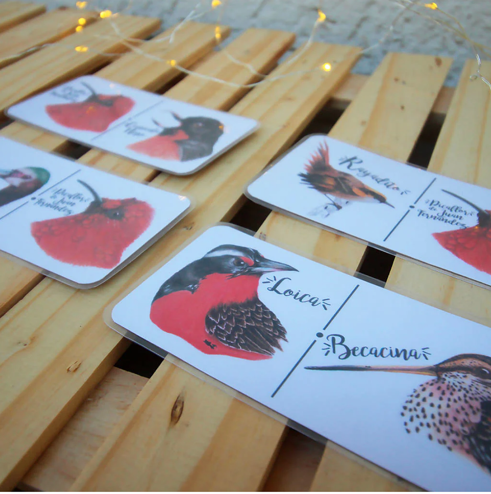 Juego Dominó: Aves de Chile 12