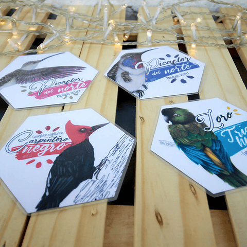 Memorice: Aves de Chile