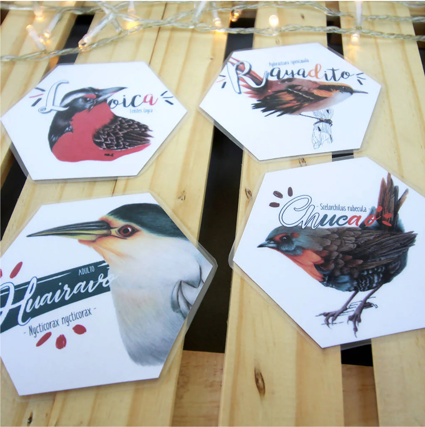 Memorice: Aves de Chile 3