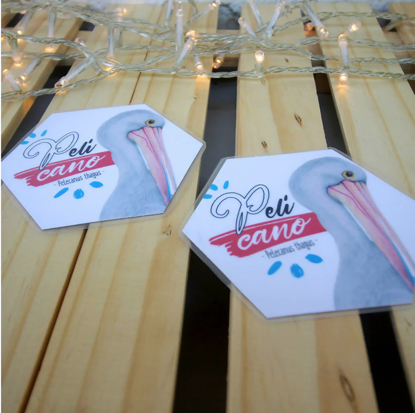 Memorice: Aves de Chile 4