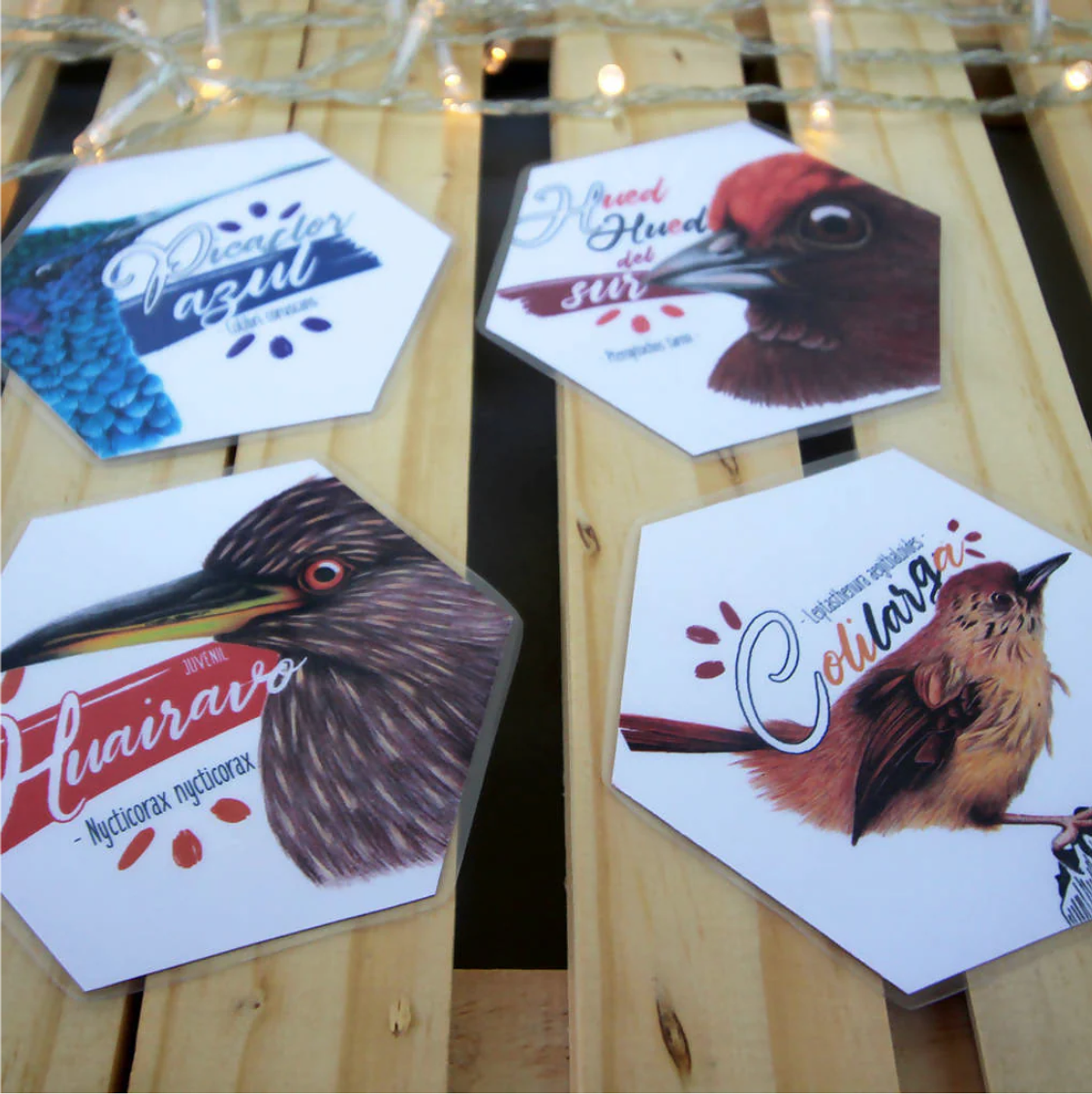 Memorice: Aves de Chile 5