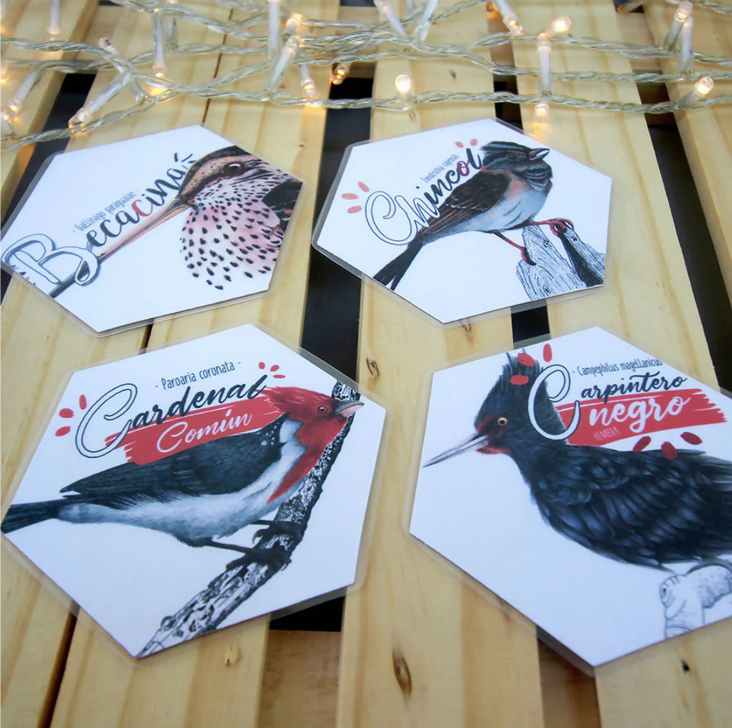 Memorice: Aves de Chile 6