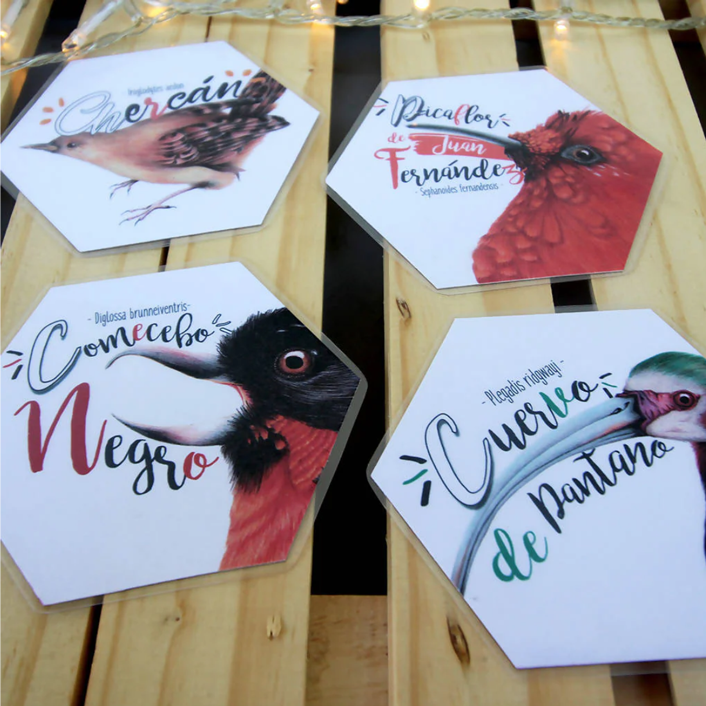 Memorice: Aves de Chile 7