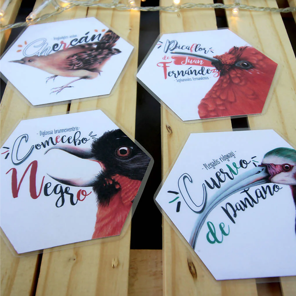 Memorice: Aves de Chile 7