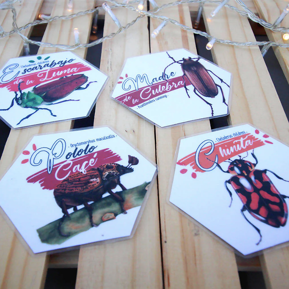 Memorice: Coleópteros de Chile 3