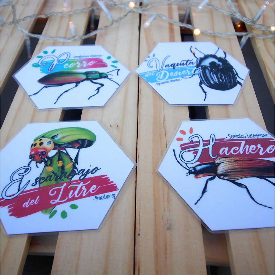 Memorice: Coleópteros de Chile 5