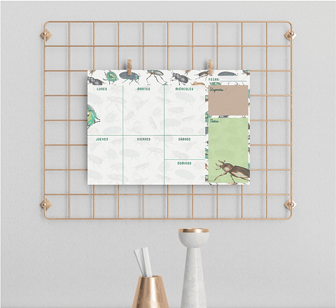 Planer: Loco x los Escarabajos