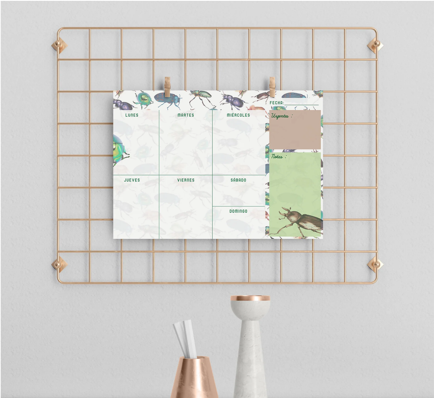 Planer: Loco x los Escarabajos 1