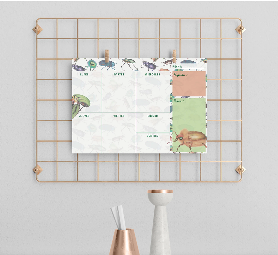 Planer: Loco x los Escarabajos 2