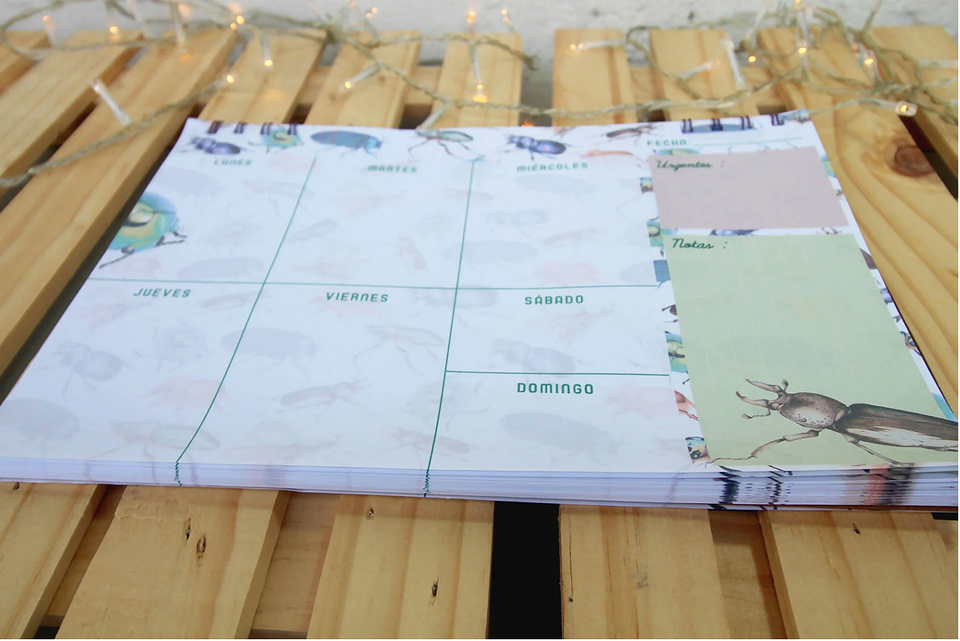 Planer: Loco x los Escarabajos 8