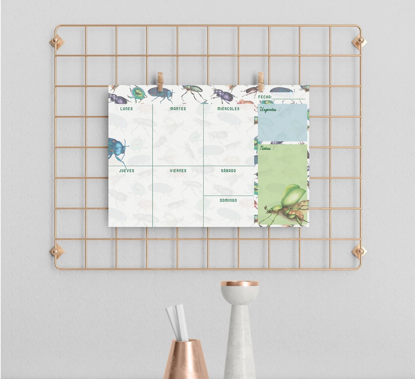 Planer: Loco x los Escarabajos 5