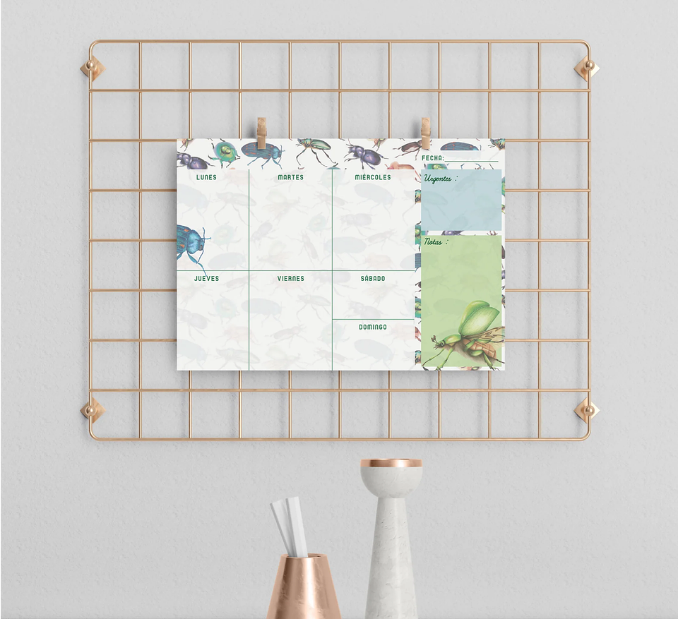 Planer: Loco x los Escarabajos 5