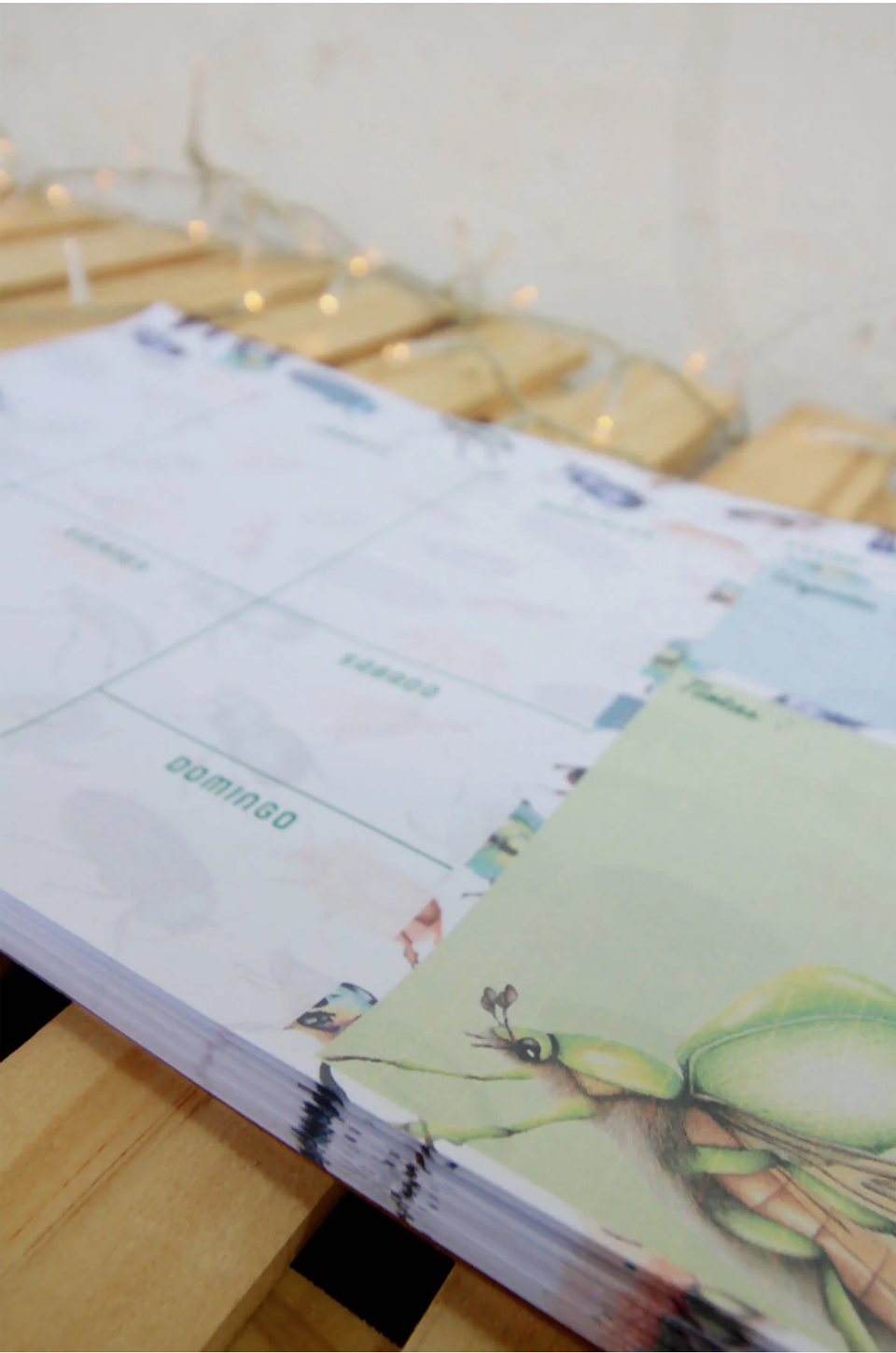 Planer: Loco x los Escarabajos 9