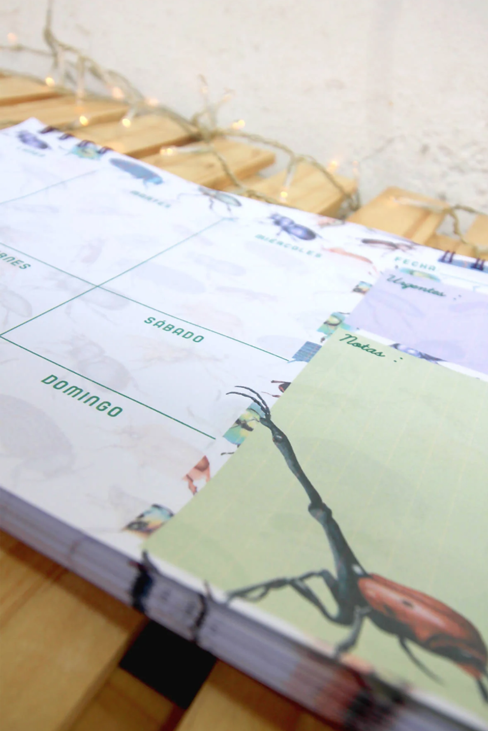 Planer: Loco x los Escarabajos 10