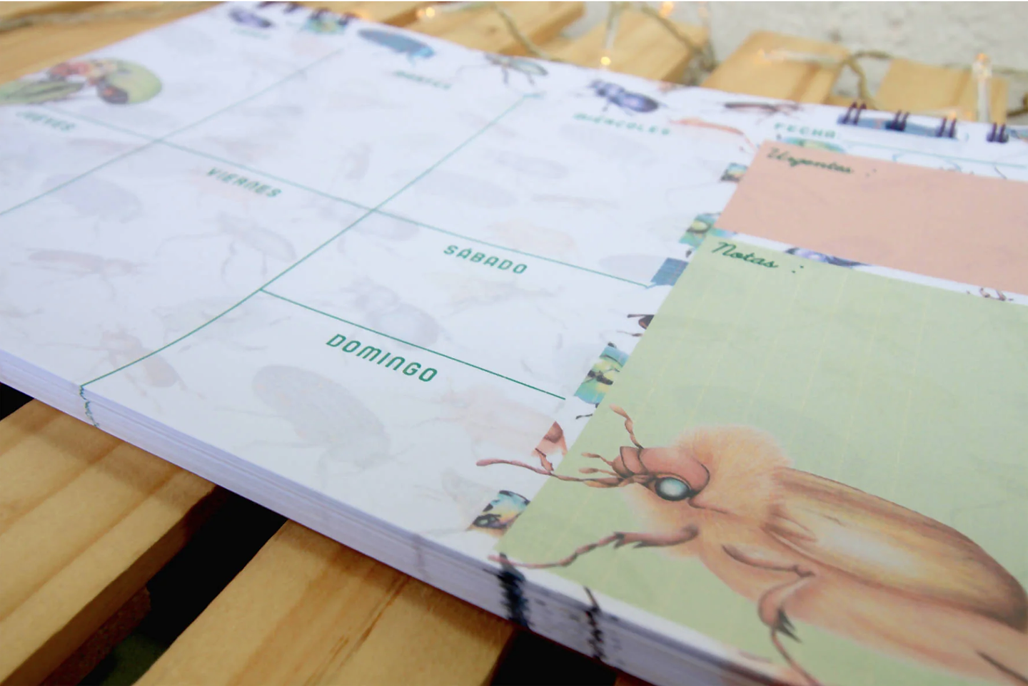 Planer: Loco x los Escarabajos 11