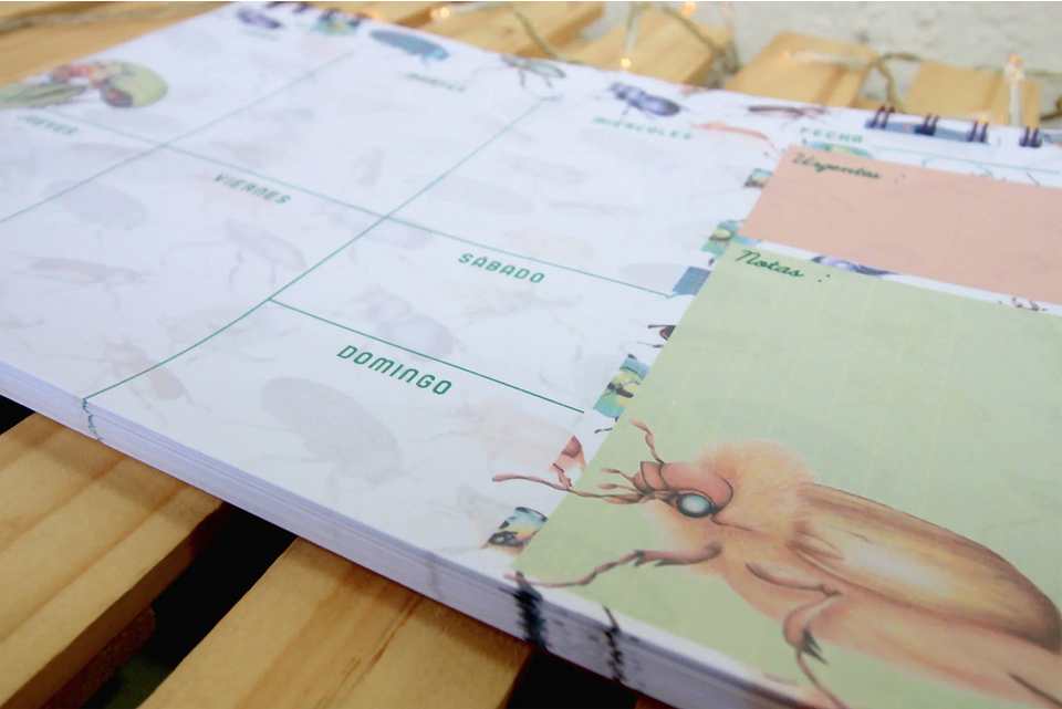 Planer: Loco x los Escarabajos 11