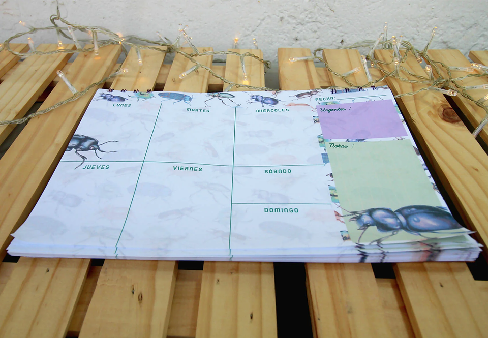 Planer: Loco x los Escarabajos 12