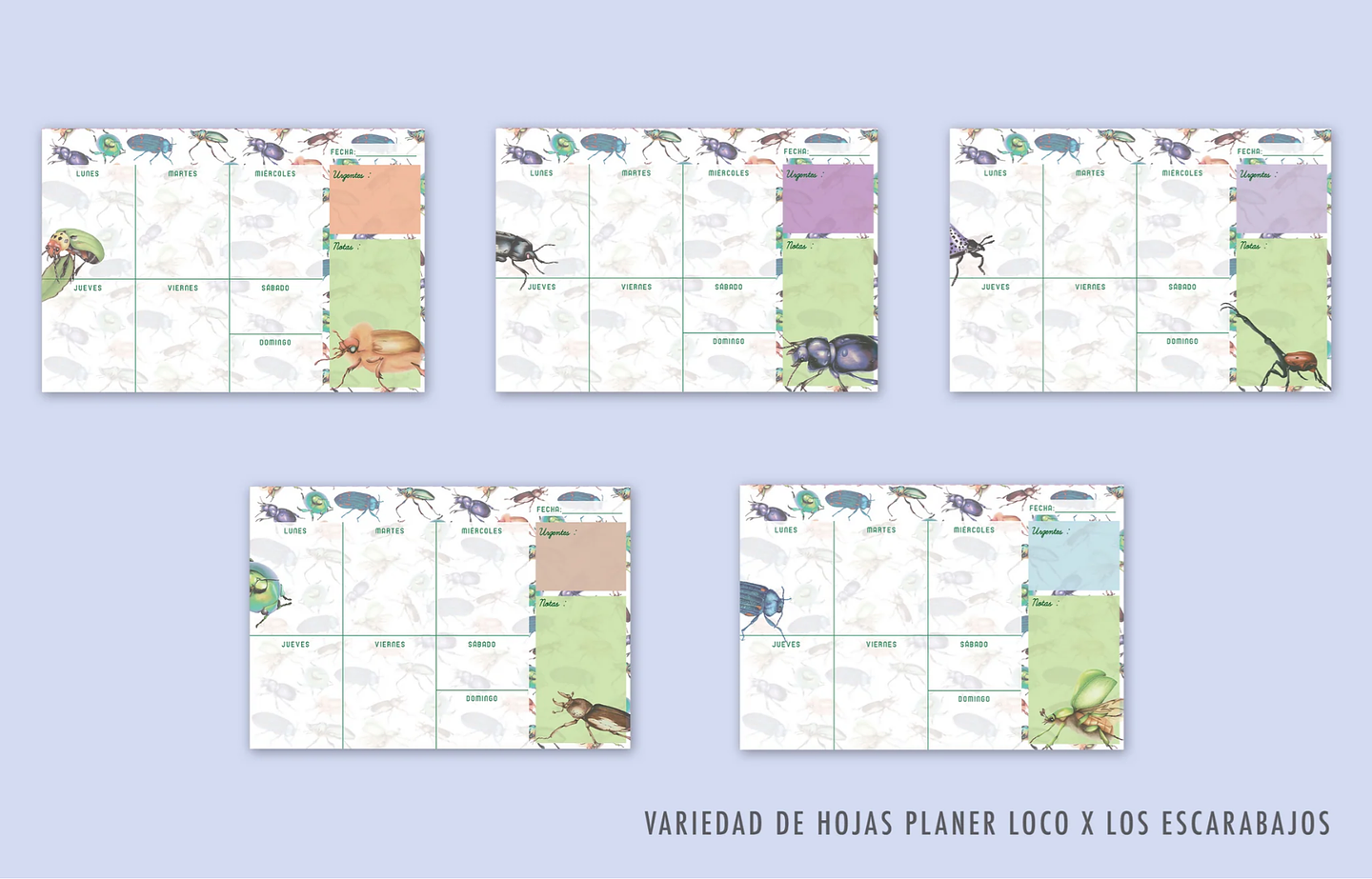 Planer: Loco x los Escarabajos 17