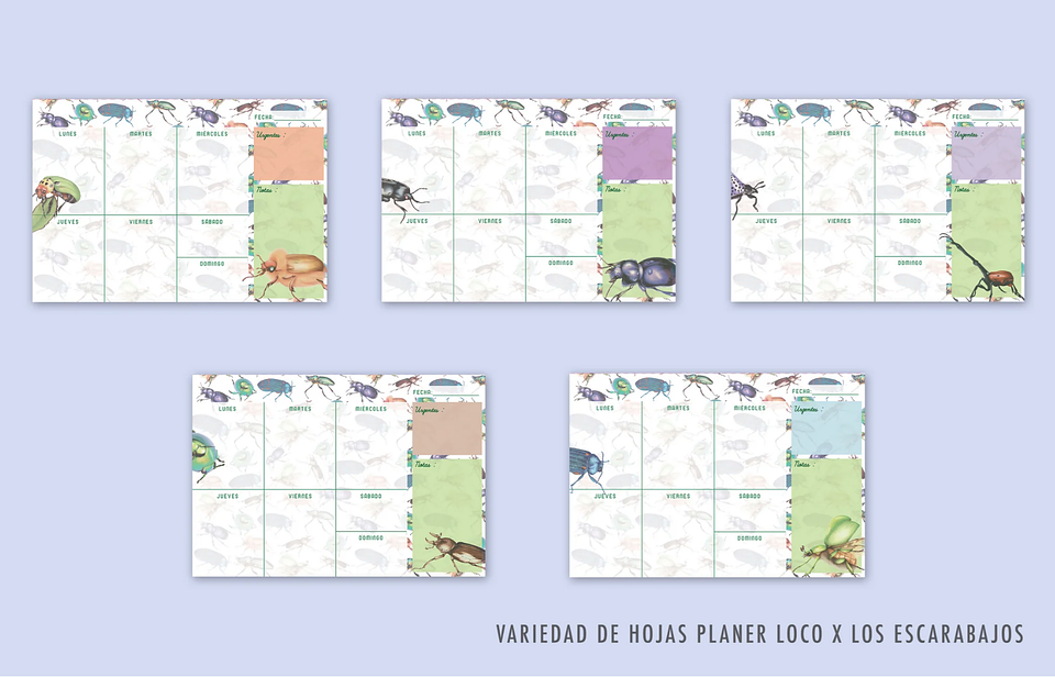 Planer: Loco x los Escarabajos 17