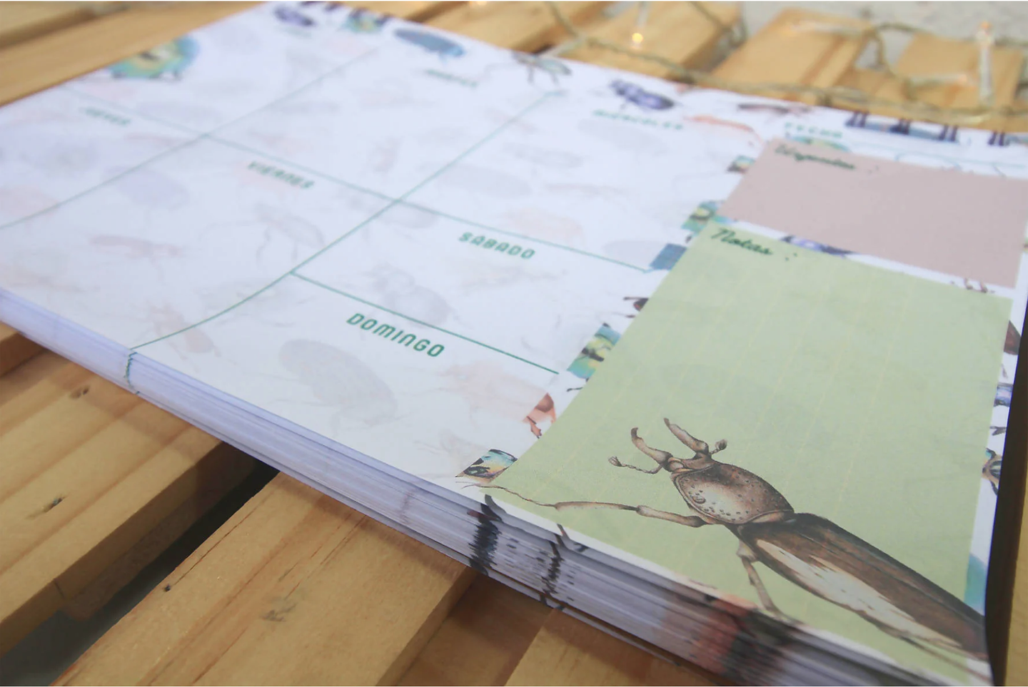 Planer: Loco x los Escarabajos 15