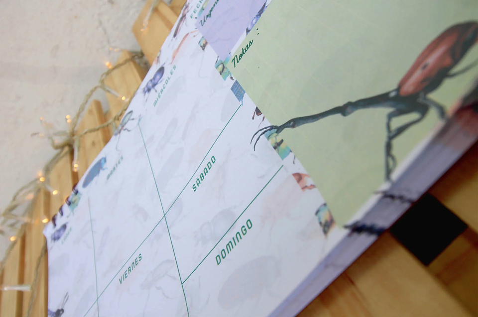 Planer: Loco x los Escarabajos 16