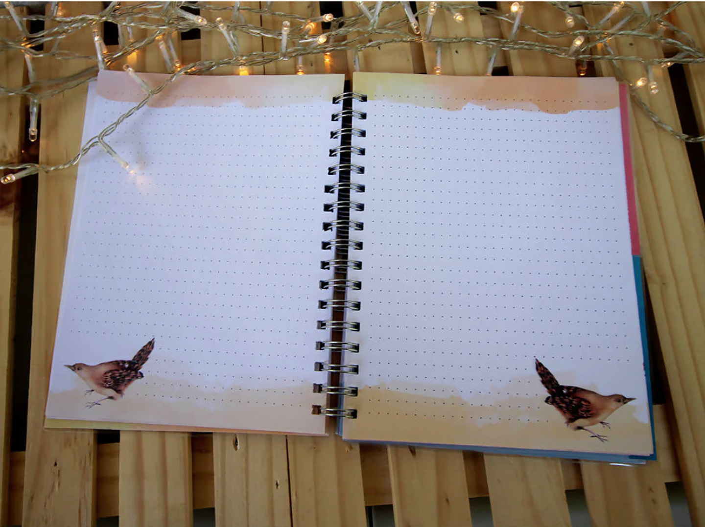 Cuaderno 150 páginas 17