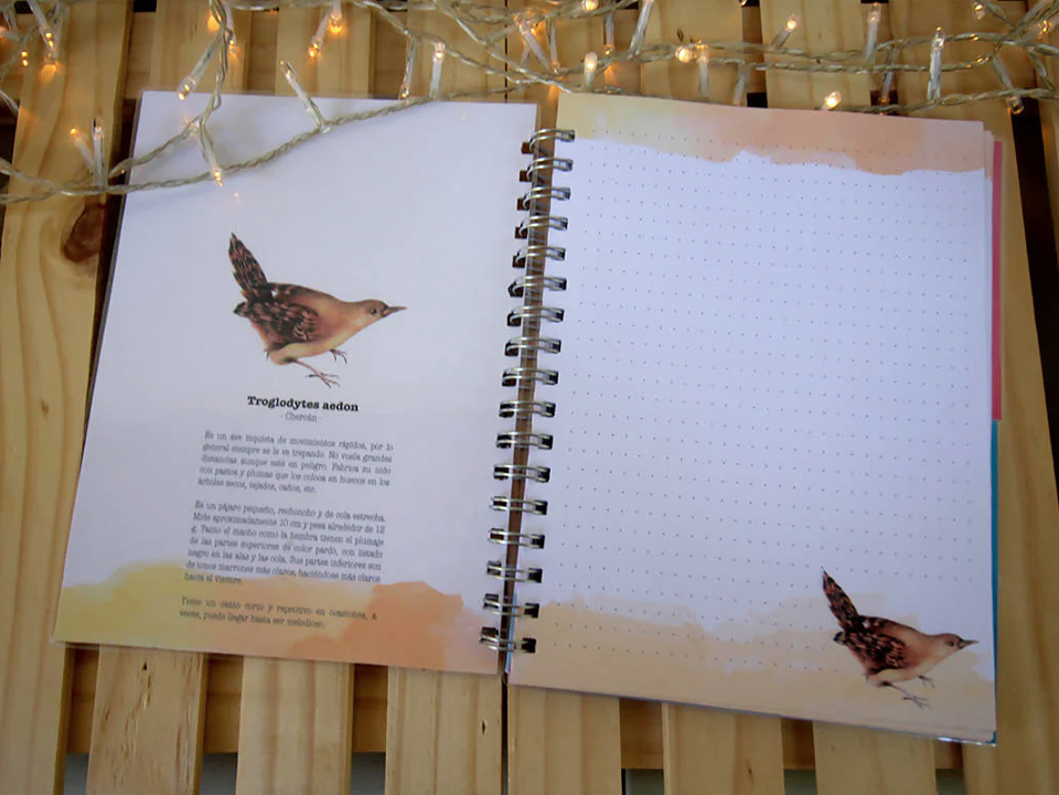 Cuaderno 150 páginas 21