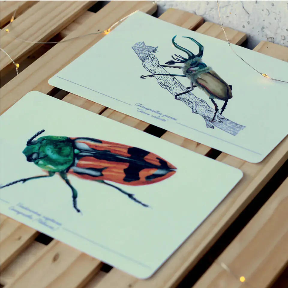 Colección Postales 11