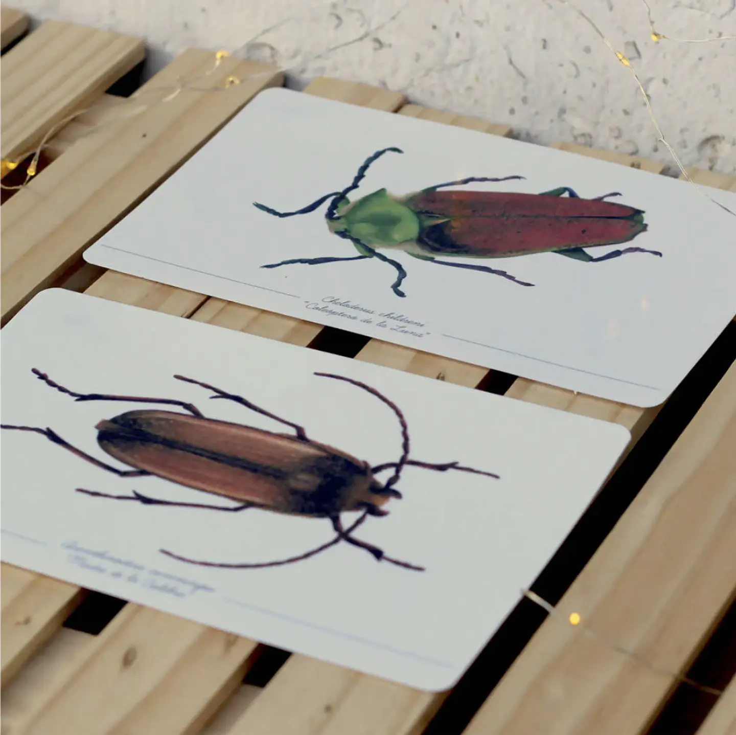 Colección Postales 12