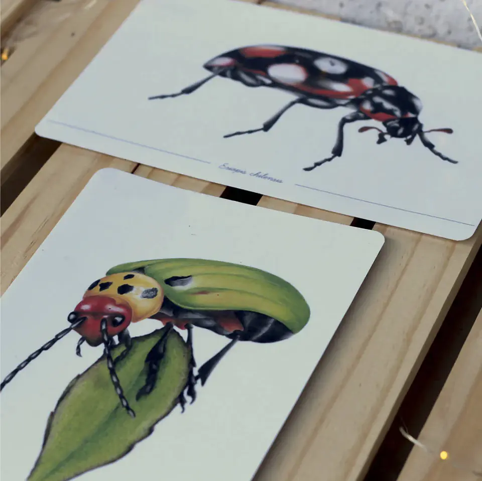 Colección Postales 15