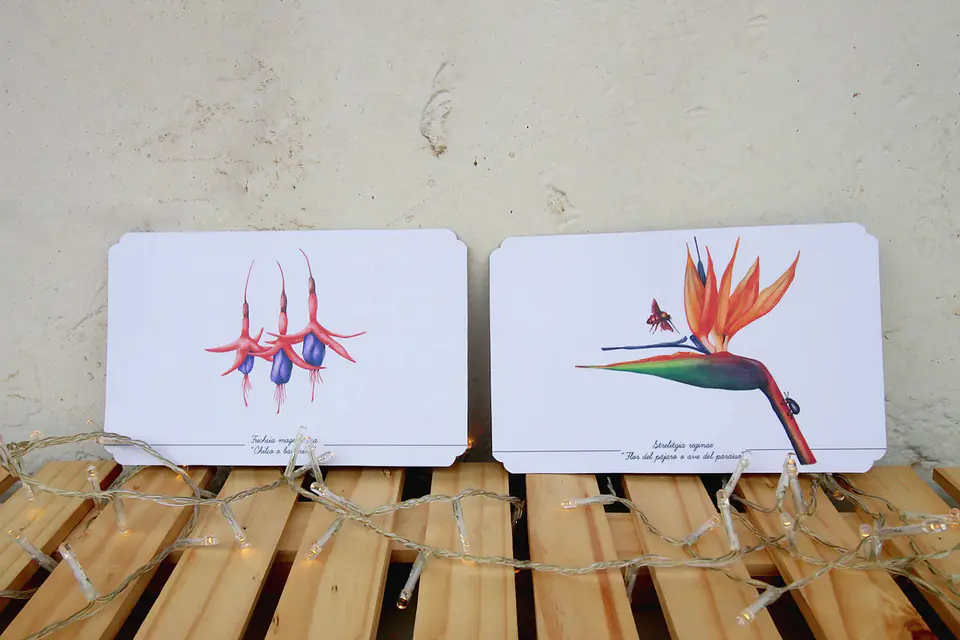 Colección Postales 17