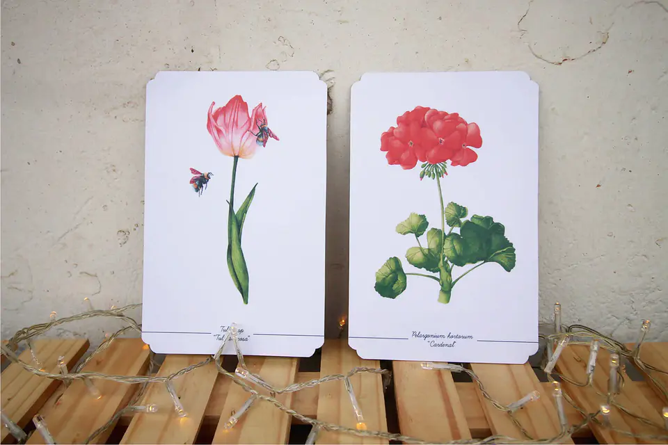 Colección Postales 18