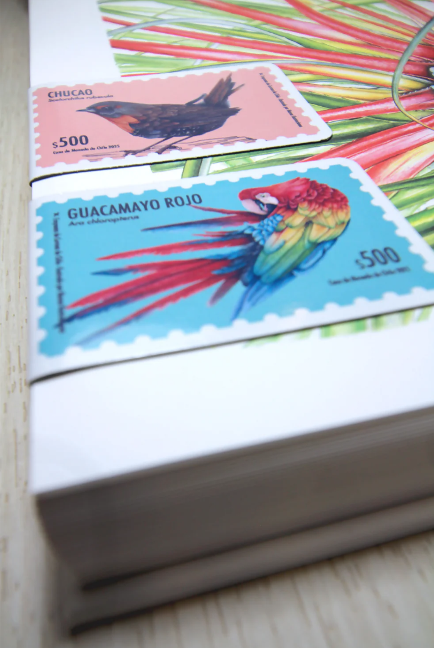 Marcapáginas Magnéticos 5