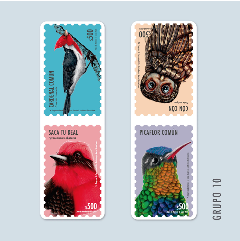 Marcapáginas Magnéticos 14