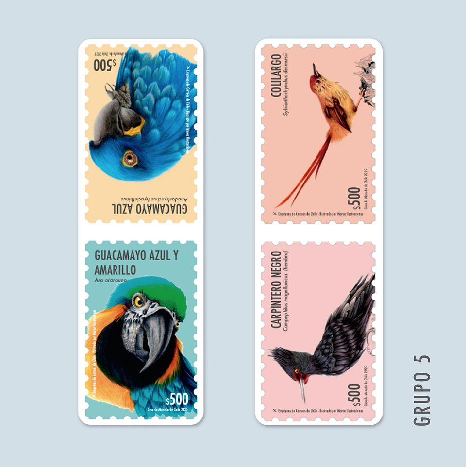 Marcapáginas Magnéticos 9