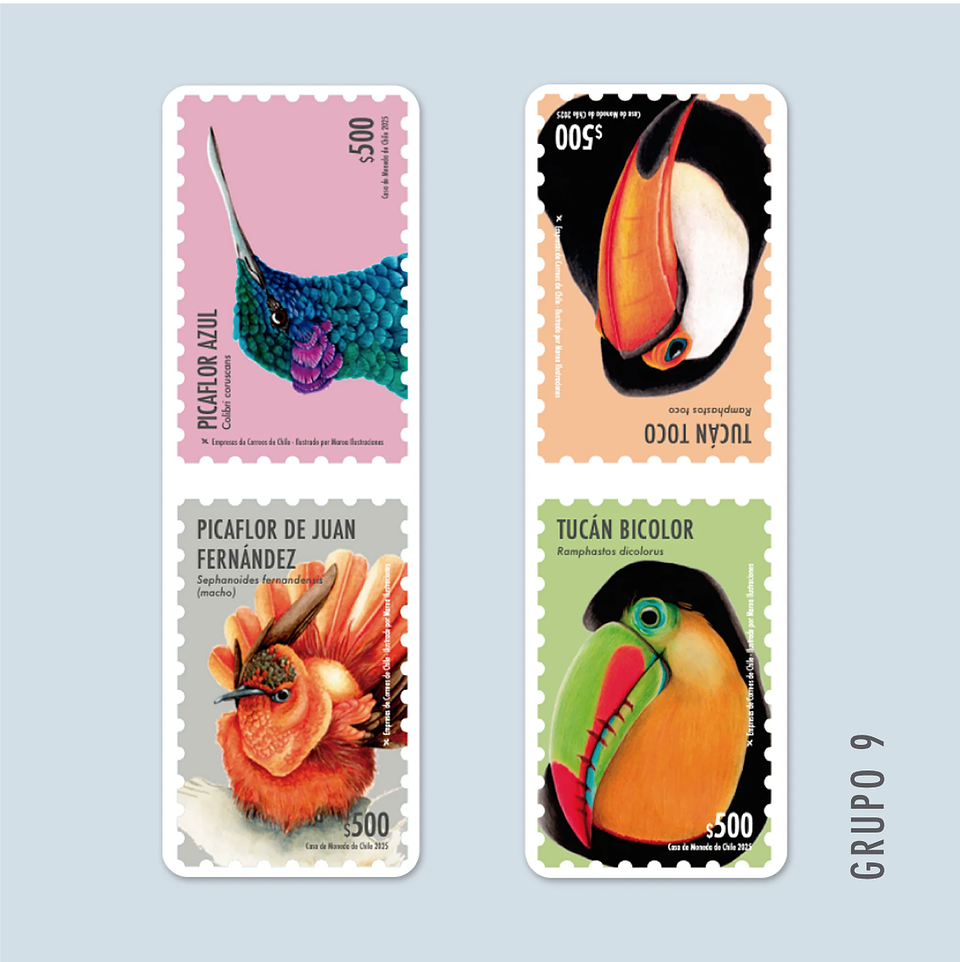 Marcapáginas Magnéticos 13