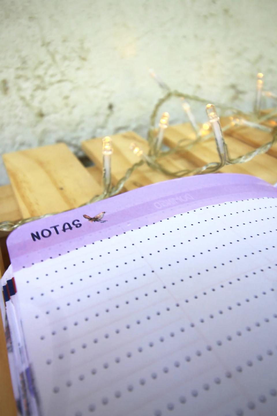 Planer Abierto: Aves de Chile 4