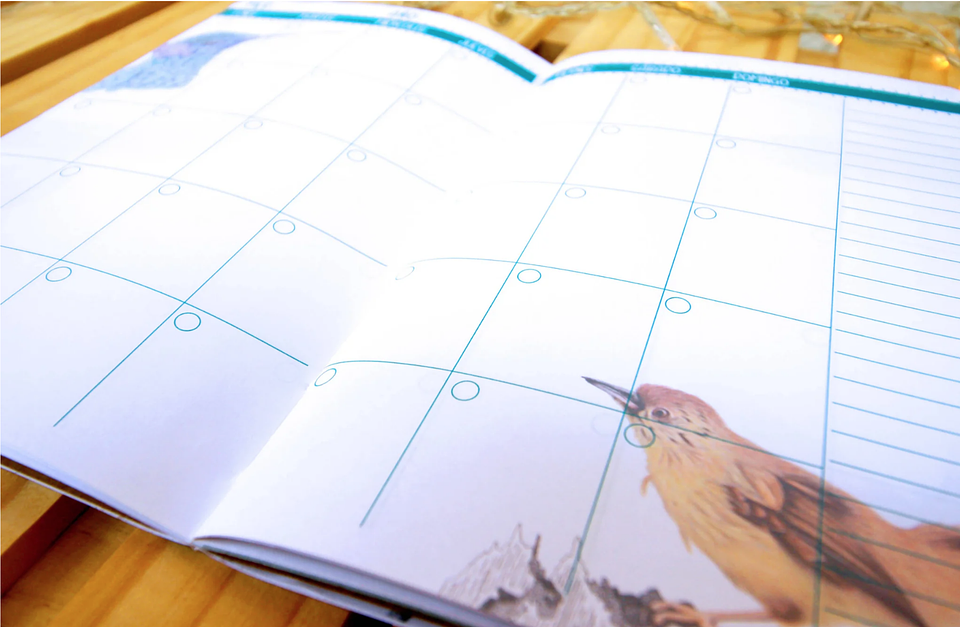 Planer Abierto: Aves de Chile 5