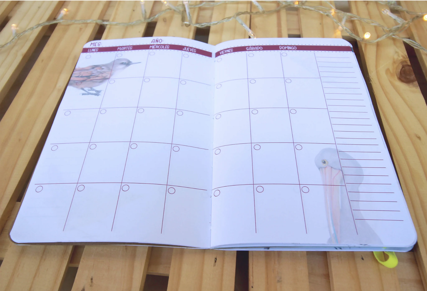 Planer Abierto: Aves de Chile 6