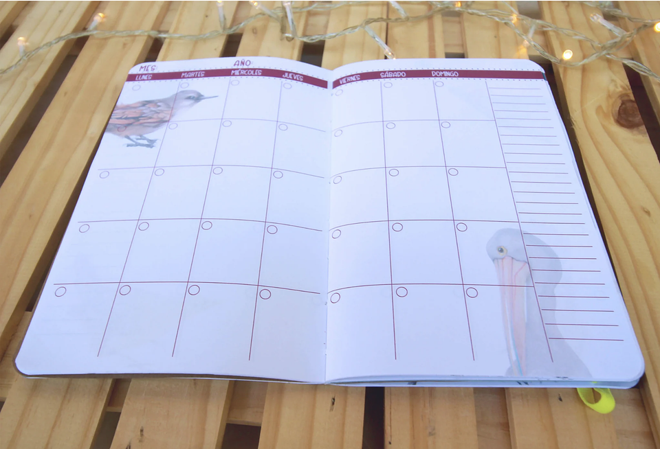 Planer Abierto: Aves de Chile 6