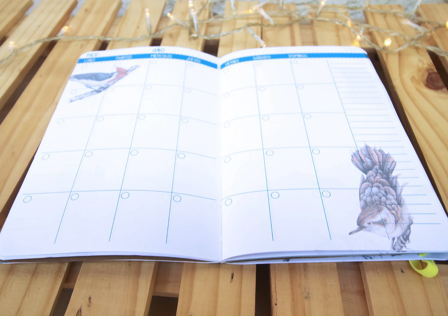 Planer Abierto: Aves de Chile 10