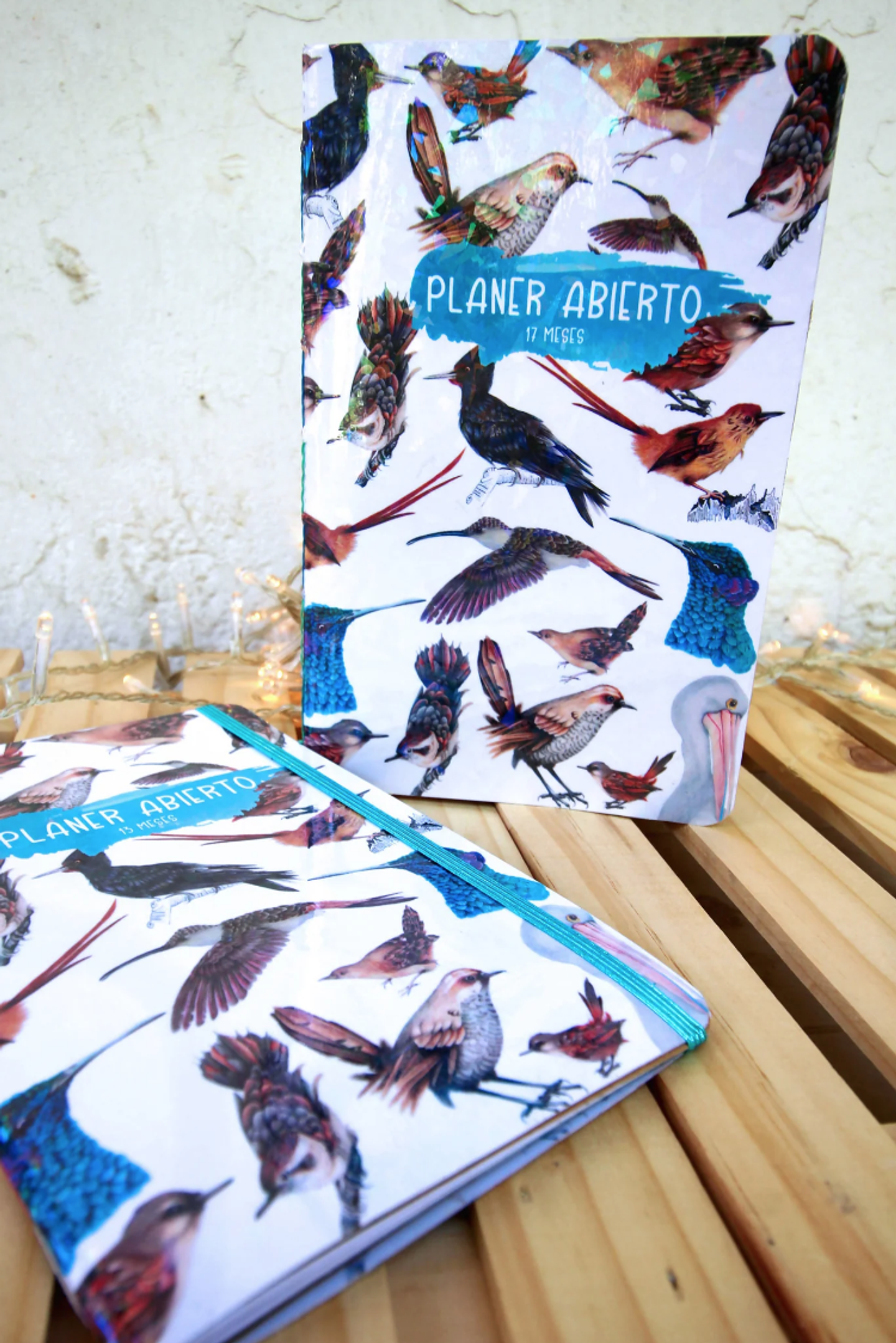 Planer Abierto: Aves de Chile 13