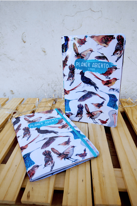 Planer Abierto: Aves de Chile