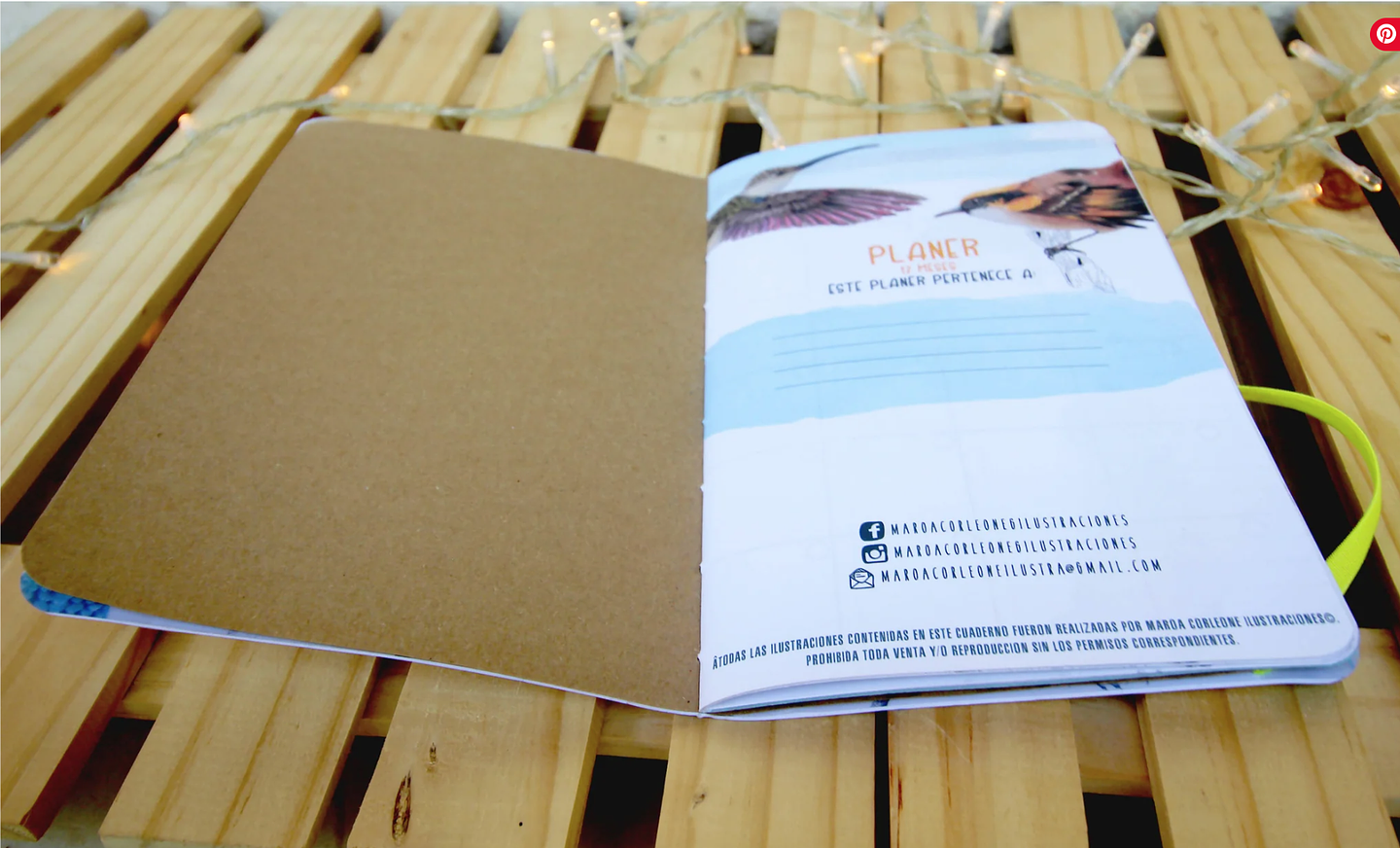 Planer Abierto: Aves de Chile 3