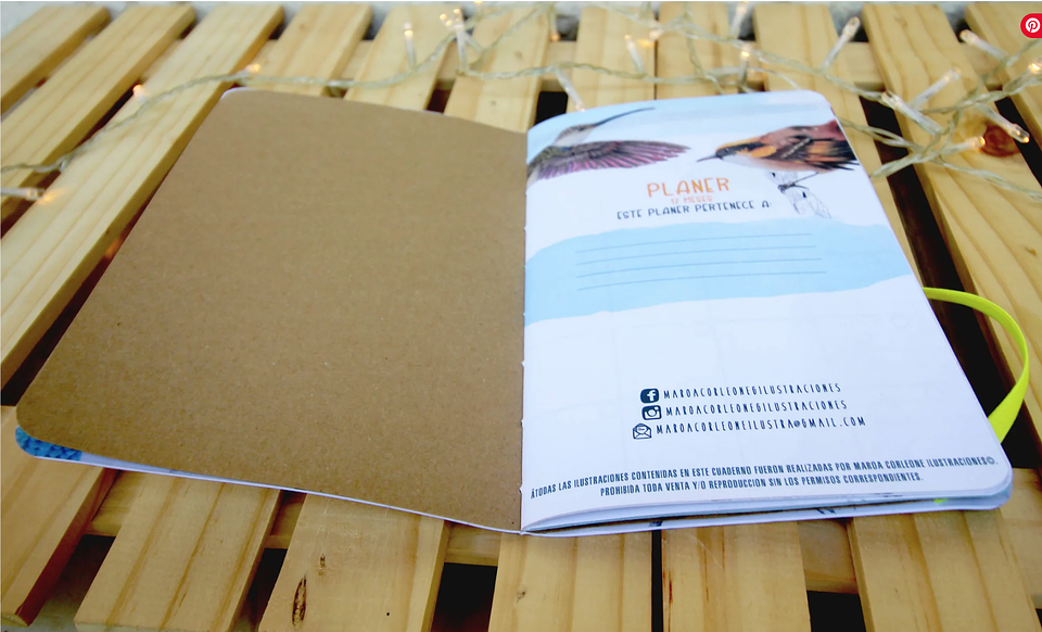 Planer Abierto: Aves de Chile 3