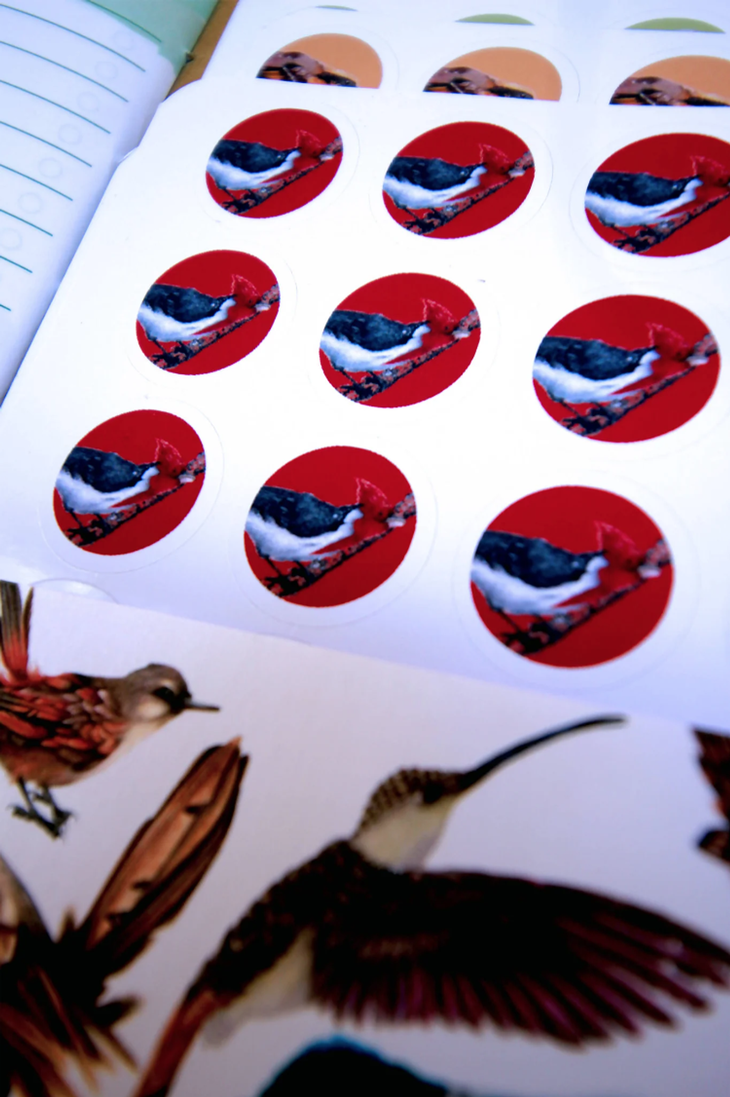 Planer Abierto: Aves de Chile 15