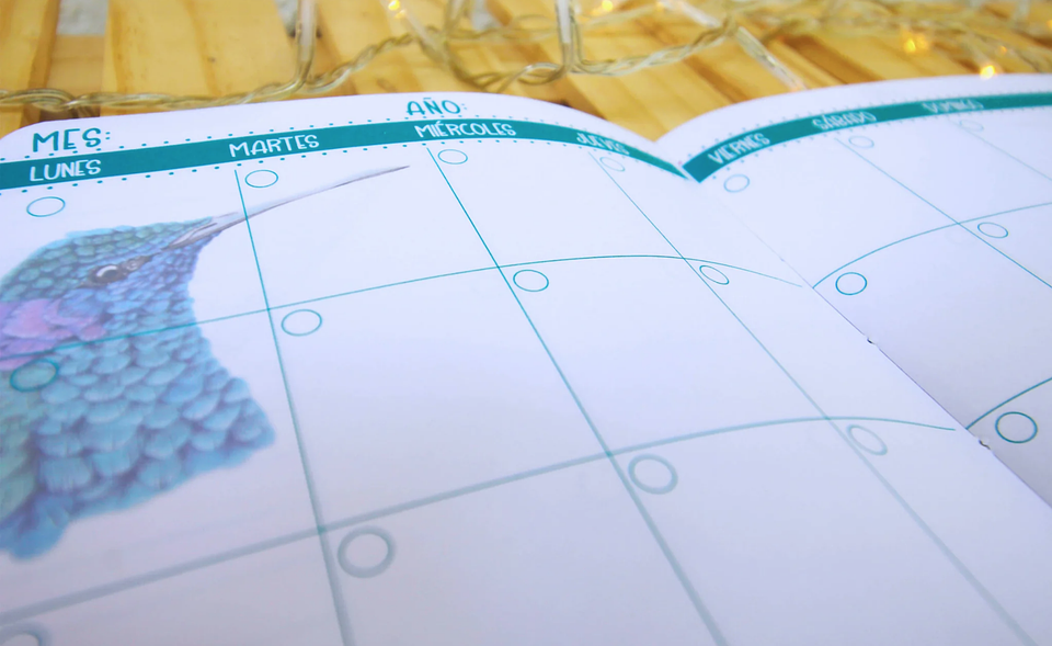 Planer Abierto: Aves de Chile 11