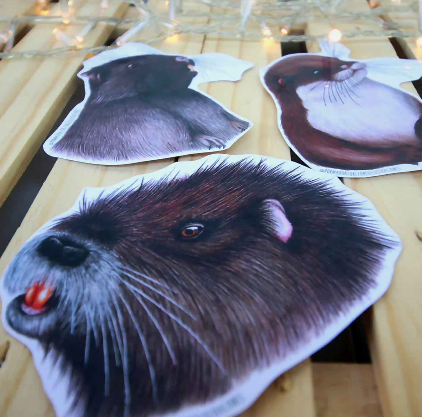 Set de Stickers Grandes Laminados en Frio 3